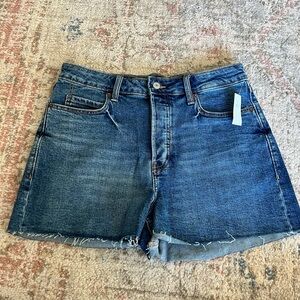 NWT Old Navy Sky-Hi A-Line Shorts